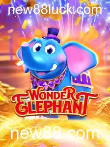 Explorando o Mundo de WonderElephant: Um Guia Completo